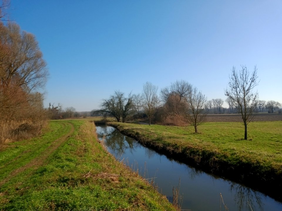 Erlenbach zwischen Neupotz und Leimersheim