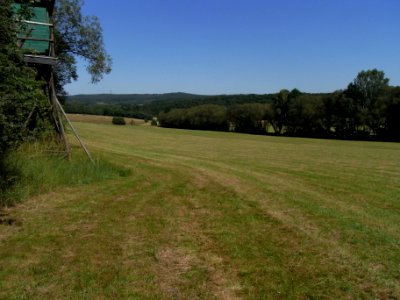 Erlenbach ober Hof Weißer Stein R0016252