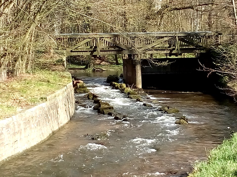 Erlengraben, Raue Rampe am ETO-Wehr