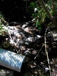 Erlengraben Befestigung und Dränage bei Steg bei Gärten R0016013