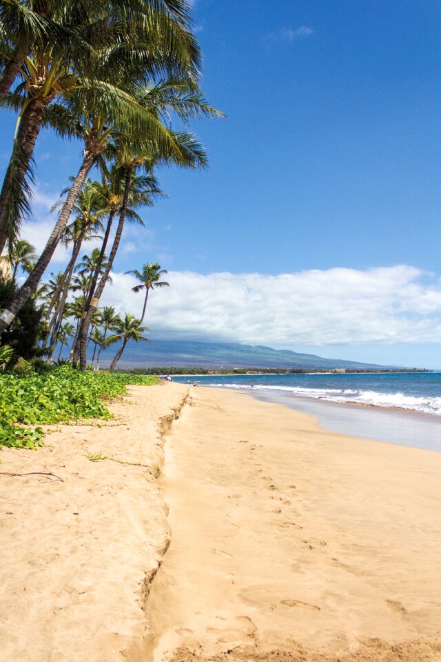 Maui landscape sand