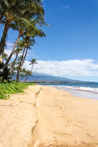 Maui landscape sand