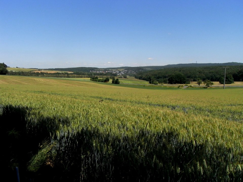 Erlenbach (Erlengraben) und Erlengraben in Gänze R0016175