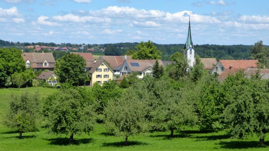 Erlen von Südwest