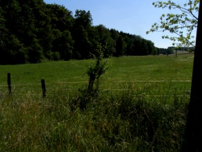 Erlengraben ober Steg Kita St. Georg Auwiese oberhalb R0015929