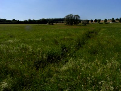 Erlengraben an Steg Kita St. Georg Zufluss 2 R0015927