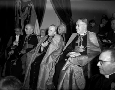 Erepromotie kardinaal J. de Jong te Leuven, Bestanddeelnr 902-5866