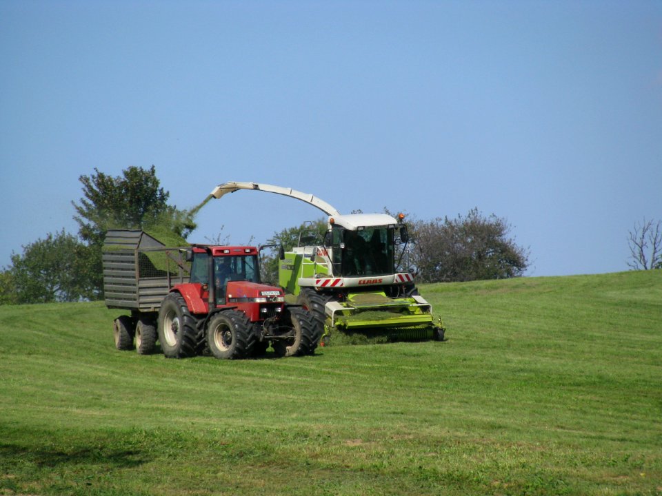 Erntemaschinen in Rammenau 05