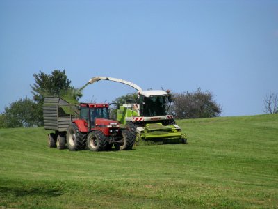 Erntemaschinen in Rammenau 05