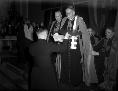 Erepromotie kardinaal J. de Jong te Leuven, Bestanddeelnr 902-5860
