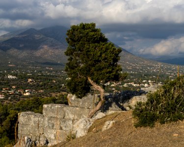 Eretria Cypress Acropolis Euboea Greece photo