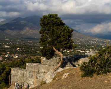 Eretria Cypress Acropolis Euboea Greece