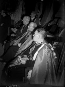 Erepromotie kardinaal J. de Jong te Leuven, Bestanddeelnr 902-5862