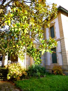 Escoriaza - Villa Epifania 3