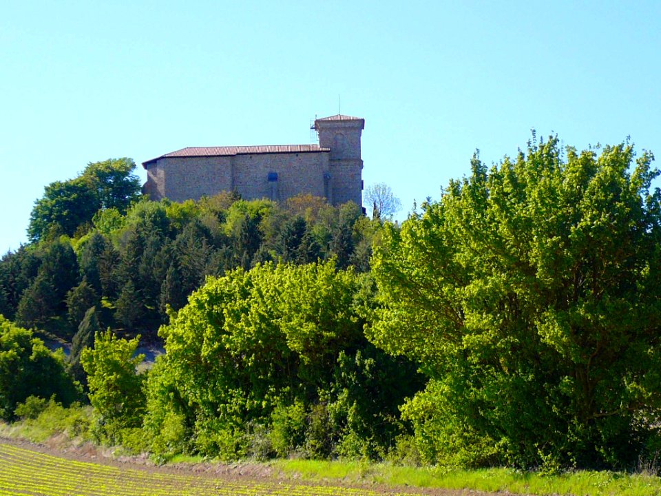 Estarrona - Iglesia de San Andrés 10