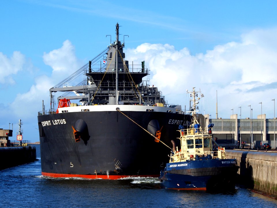 Esprit Lotus IMO 9343443 at Port of Amsterdam 08Feb2009 p08