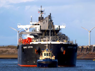 Esprit Lotus IMO 9343443 at Port of Amsterdam 08Feb2009 p06