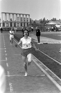 Estafettes, kampioenschappen, sportwedstrijden, atletiek, Bestanddeelnr 920-4542