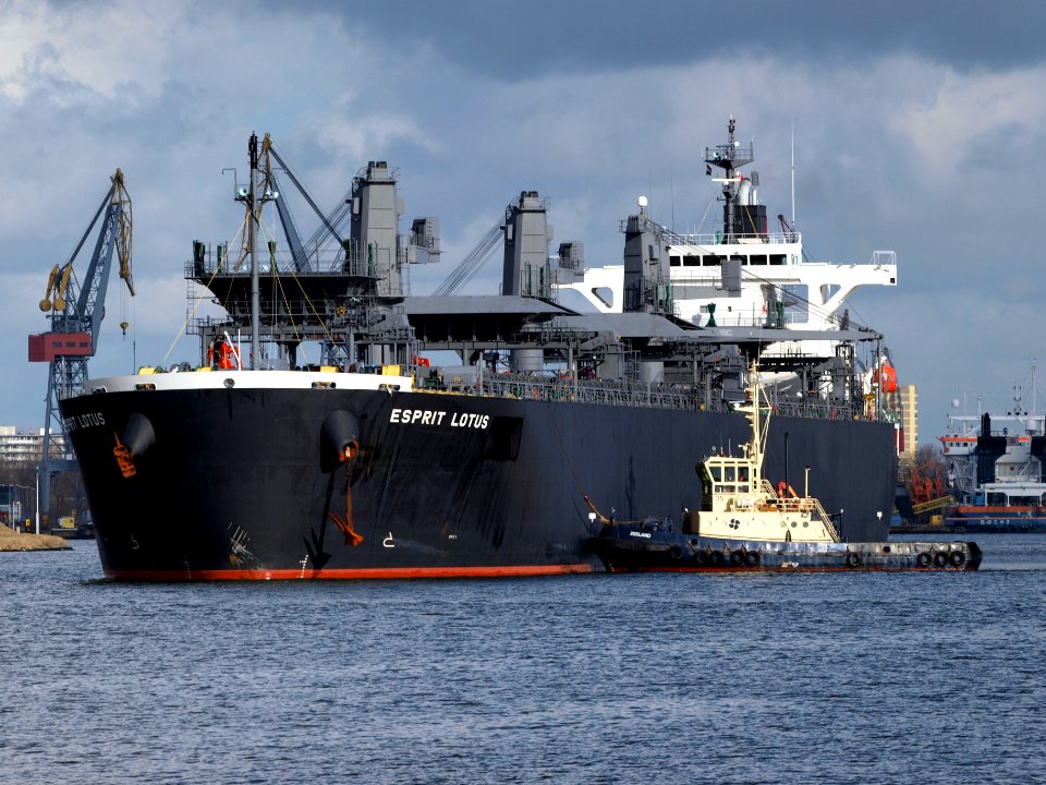 Esprit Lotus IMO 9343443 at Port of Amsterdam 08Feb2009 p12