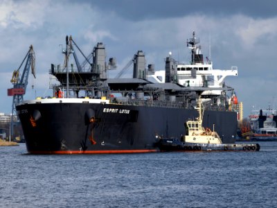 Esprit Lotus IMO 9343443 at Port of Amsterdam 08Feb2009 p12