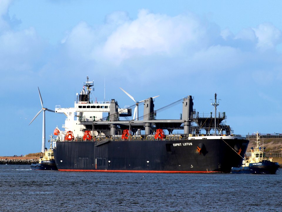 Esprit Lotus IMO 9343443 at Port of Amsterdam 08Feb2009 p03