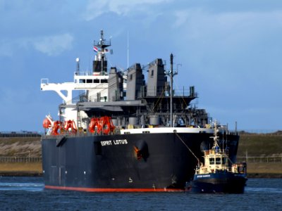 Esprit Lotus IMO 9343443 at Port of Amsterdam 08Feb2009 p04