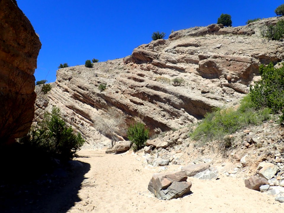 Espinaso Formation