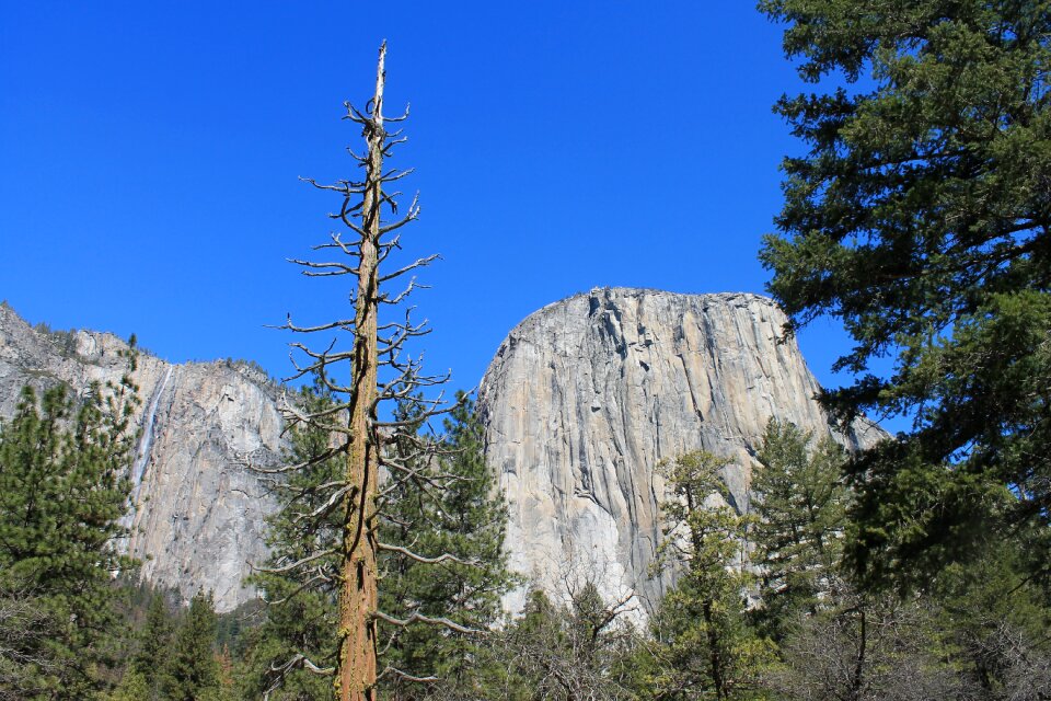 California national nature