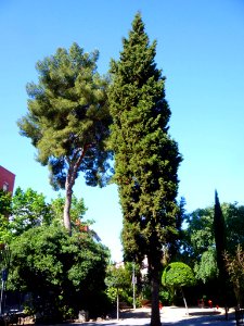 Esplugues de Llobregat 14