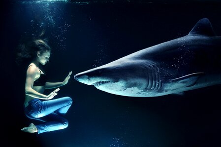 Underwater sea shark attack