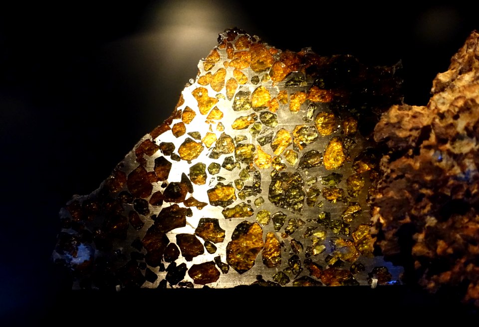 Esquel (fallen 1951 in Argentina), Stein-Eisen-Meteorit (Pallasit) - meteorites - Museum fur Naturkunde, Berlin - DSC00109