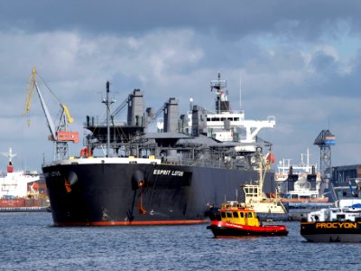 Esprit Lotus IMO 9343443 at Port of Amsterdam 08Feb2009 p11