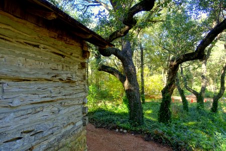 Esperanza School Building - Zilker Botanical Garden - Austin, Texas - DSC08824 photo