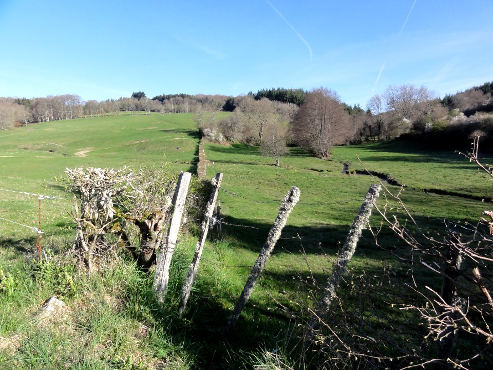 Espinasse (Puy-de-Dôme) paysage avec confluent Chanteranne - Auzelle