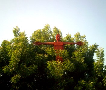 Espanta Pajaros Rojo