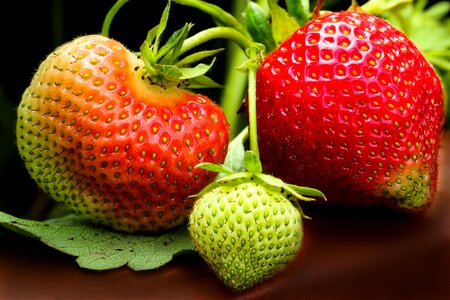 Fruits sweet food