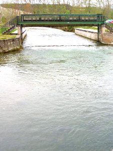 Espejo (Álava) - Río Omecillo 1