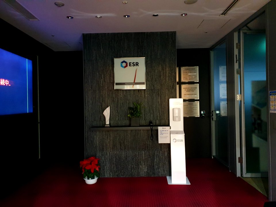 ESR LTD