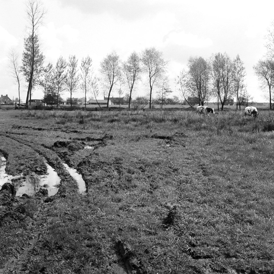 Essche Stroom, ten zuiden van bedrijf commissielid van de Langenberg Slecht gra, Bestanddeelnr 159-0758