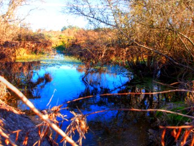 Espejo Azul (216698397)