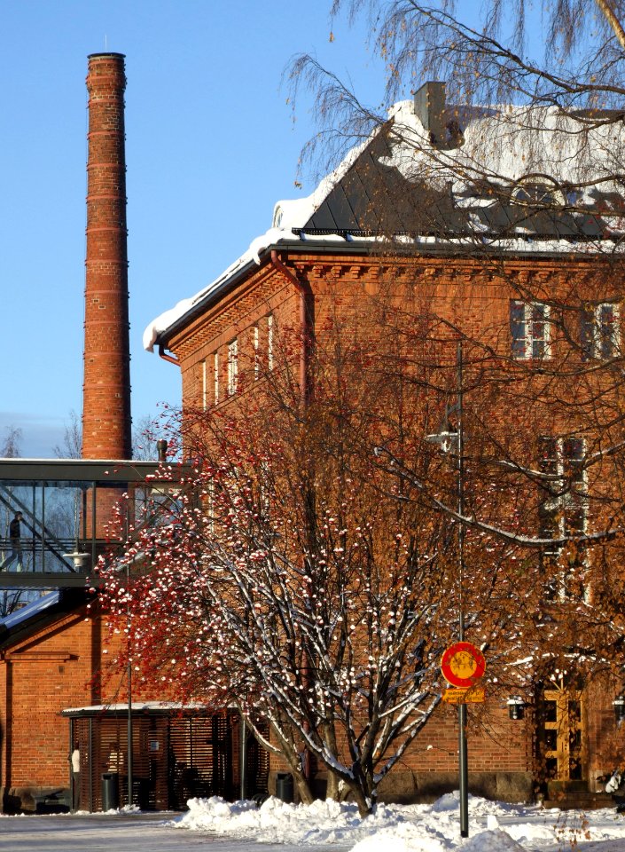 Esikunta Lasaretinsaari Oulu 20061105