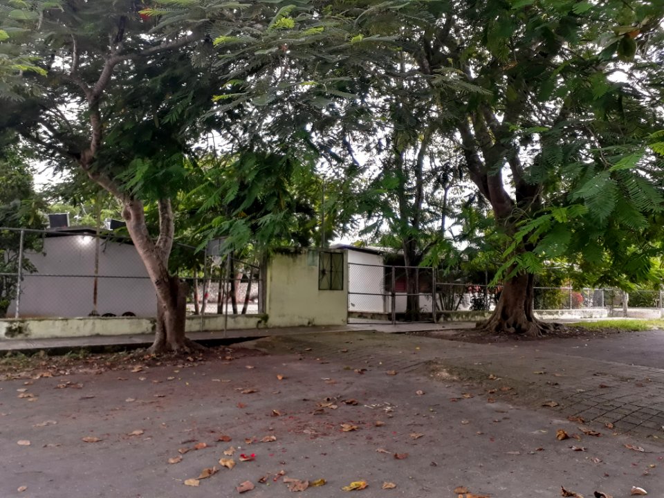 Escuela 31DPR0719H