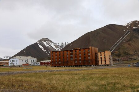 Ghost town svalbard brown ghost
