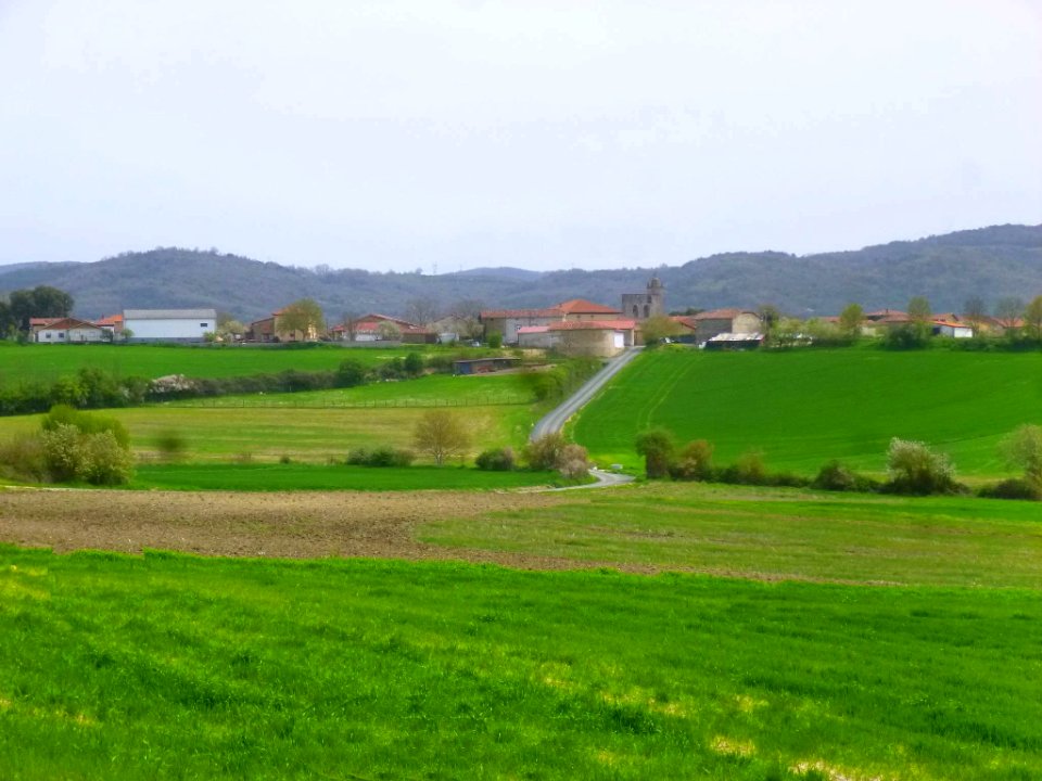 Espejo (Álava) 02
