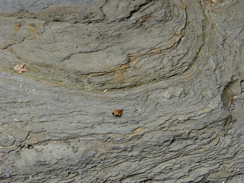 Eroded rocks, Saw Mill Run, Seldom Seen, 2021-04-18