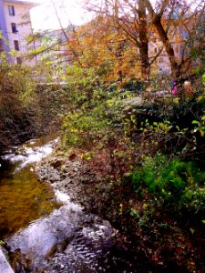 Escoriaza, rio Deba 6