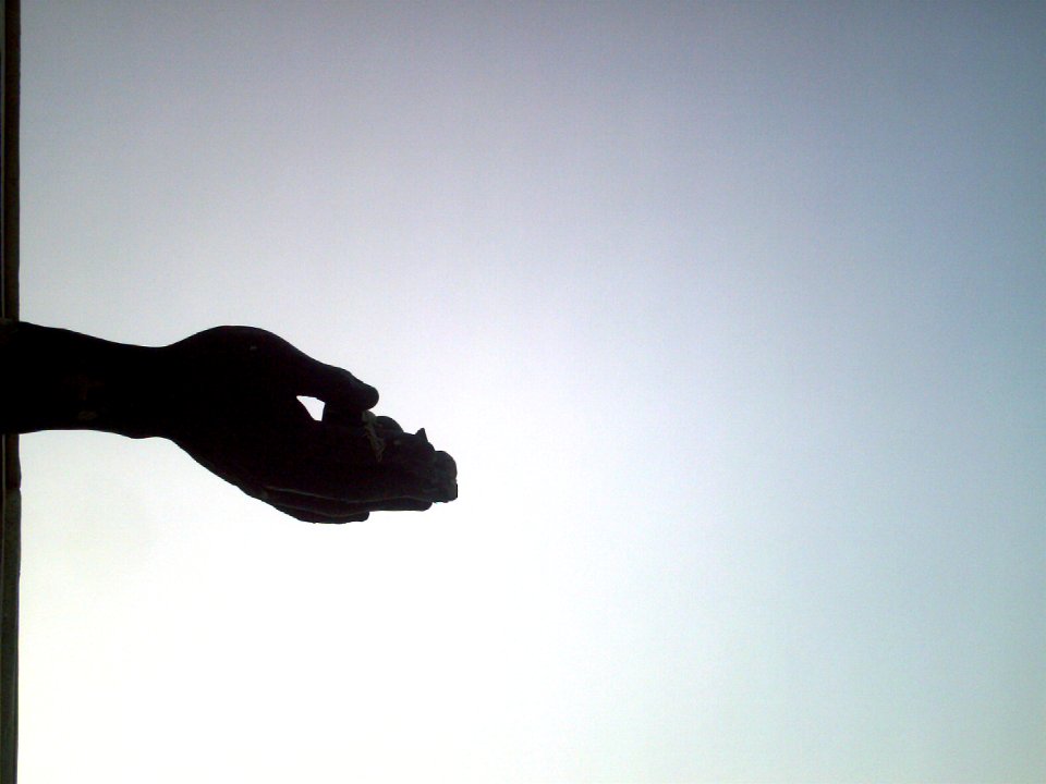 Escultura de Mano