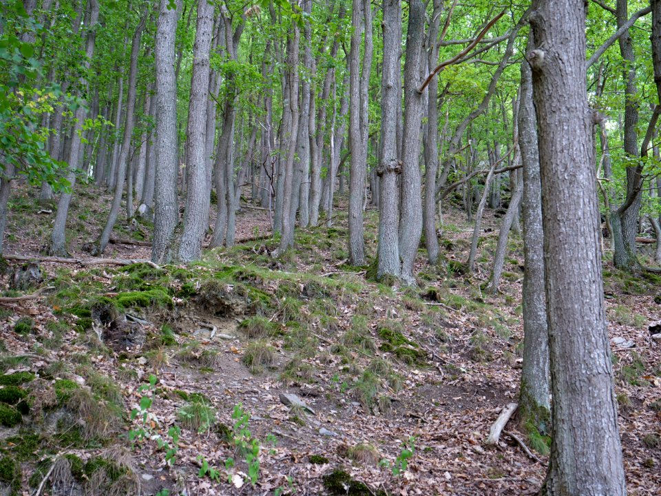 Escarpment near Schilsbachstraße 01