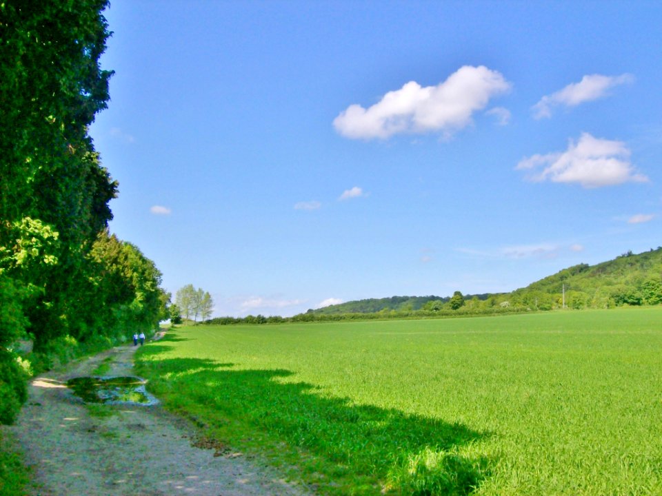 Footpath, Shoreham, Kent