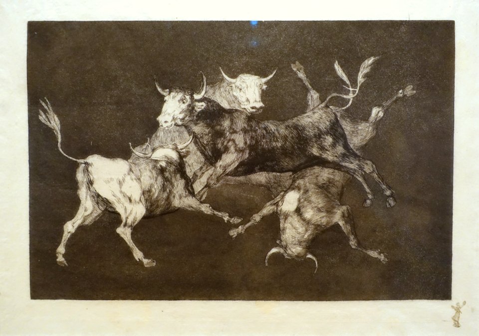 Foolishness of fools (Horde of bulls), by Francisco de Goya y Lucientes, 1815-1824, etching and aquatint on Japanese paper - Museum Berggruen - DSC03779